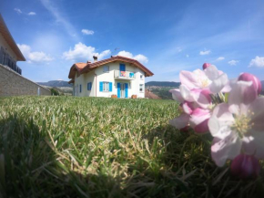 Apartment in NOVELLA 41460